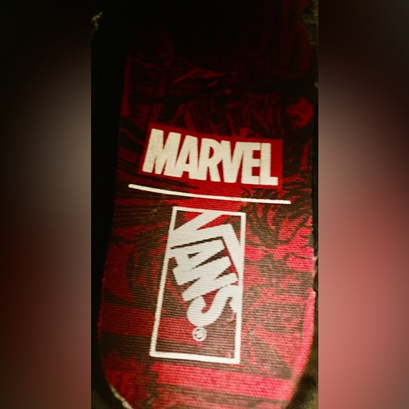 Black Widow Vans - Picture 9 of 11